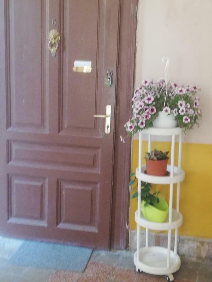 Galéria Apartman Szeged Esterno foto